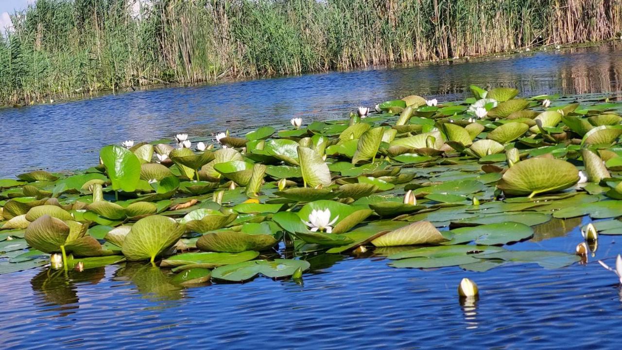 Pensiunea Nest Dunavăţu de Jos Buitenkant foto