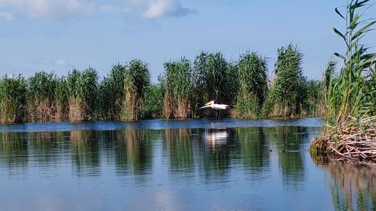 Pensiunea Nest Dunavăţu de Jos Buitenkant foto