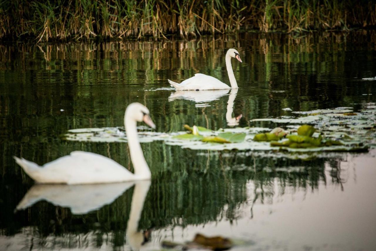 Pensiunea Nest Dunavăţu de Jos Buitenkant foto